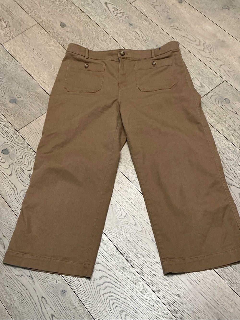 Woman’s LOFT The Palmer camel wide leg crop pants. Size 14. Twill. Front pockets